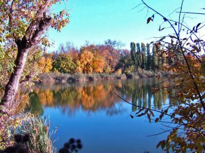 Прикрепленное изображение: 001a.jpg